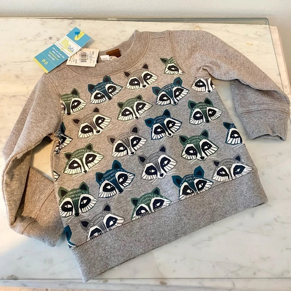 NWT Tea Raccoon Sweatshirt Size 3-6 Months - Picture 2 of 2